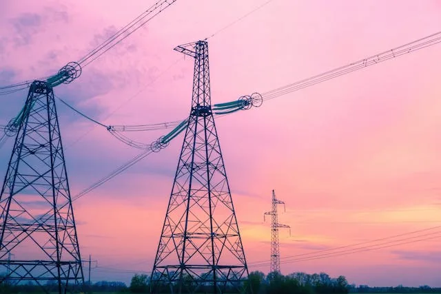 Elektrik dağıtım şirketleri